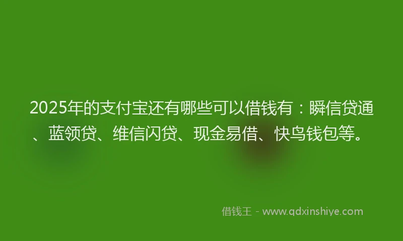 2025年的支付宝还有哪些可以借钱有：瞬信贷通、蓝领贷、维信闪贷、现金易借、快鸟钱包等。
