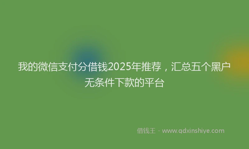 我的微信支付分借钱2025年推荐，汇总五个黑户无条件下款的平台