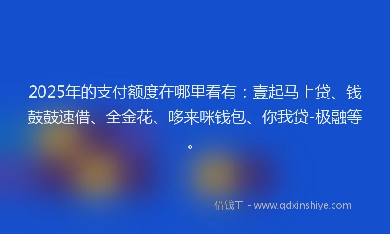 2025年的支付额度在哪里看有：壹起马上贷、钱鼓鼓速借、全金花、哆来咪钱包、你我贷-极融等。