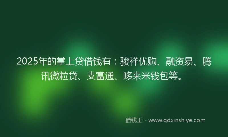 2025年的掌上贷借钱有：骏祥优购、融资易、腾讯微粒贷、支富通、哆来米钱包等。
