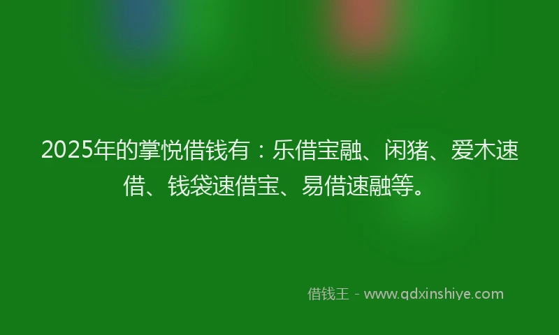 2025年的掌悦借钱有：乐借宝融、闲猪、爱木速借、钱袋速借宝、易借速融等。