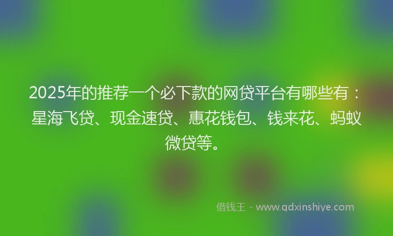 2025年的推荐一个必下款的网贷平台有哪些有：星海飞贷、现金速贷、惠花钱包、钱来花、蚂蚁微贷等。