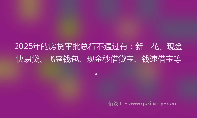2025年的房贷审批总行不通过有：新一花、现金快易贷、飞猪钱包、现金秒借贷宝、钱速借宝等。