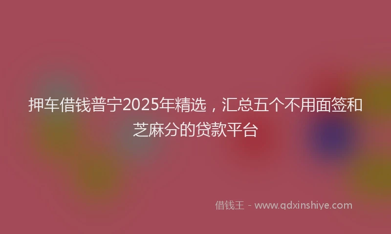 押车借钱普宁2025年精选，汇总五个不用面签和芝麻分的贷款平台