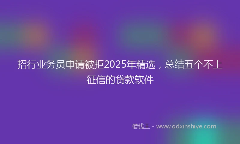 招行业务员申请被拒2025年精选，总结五个不上征信的贷款软件
