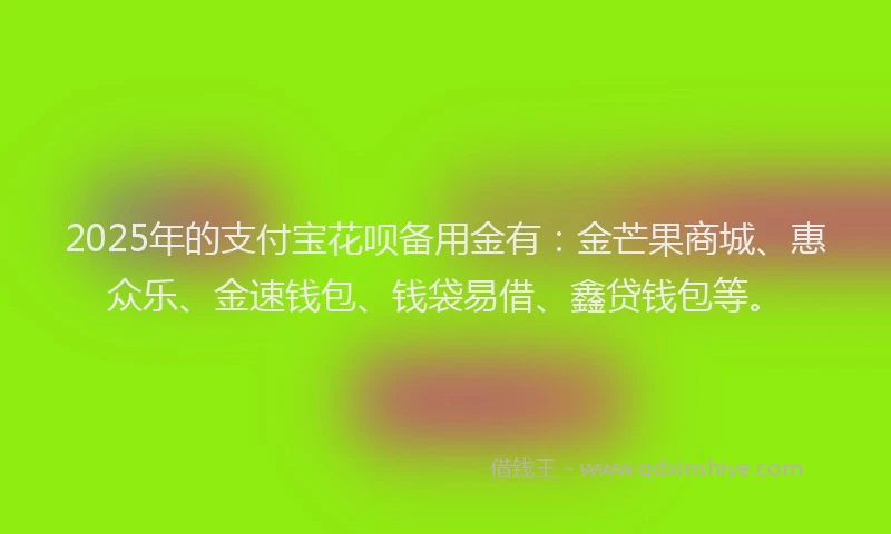 2025年的支付宝花呗备用金有：金芒果商城、惠众乐、金速钱包、钱袋易借、鑫贷钱包等。