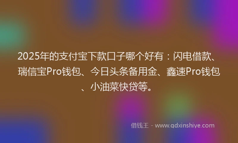 2025年的支付宝下款口子哪个好有：闪电借款、瑞信宝Pro钱包、今日头条备用金、鑫速Pro钱包、小油菜快贷等。