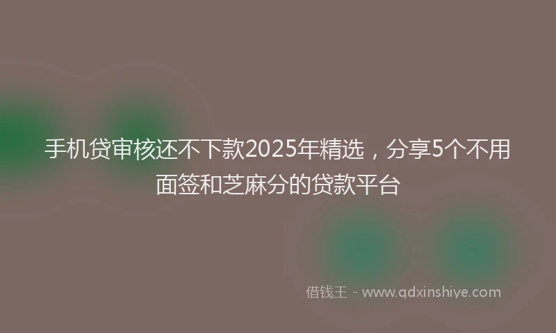 手机贷审核还不下款2025年精选，分享5个不用面签和芝麻分的贷款平台
