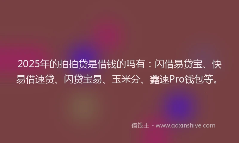 2025年的拍拍贷是借钱的吗有：闪借易贷宝、快易借速贷、闪贷宝易、玉米分、鑫速Pro钱包等。