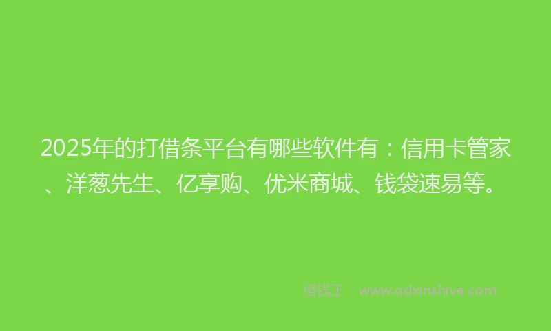 2025年的打借条平台有哪些软件有：信用卡管家、洋葱先生、亿享购、优米商城、钱袋速易等。
