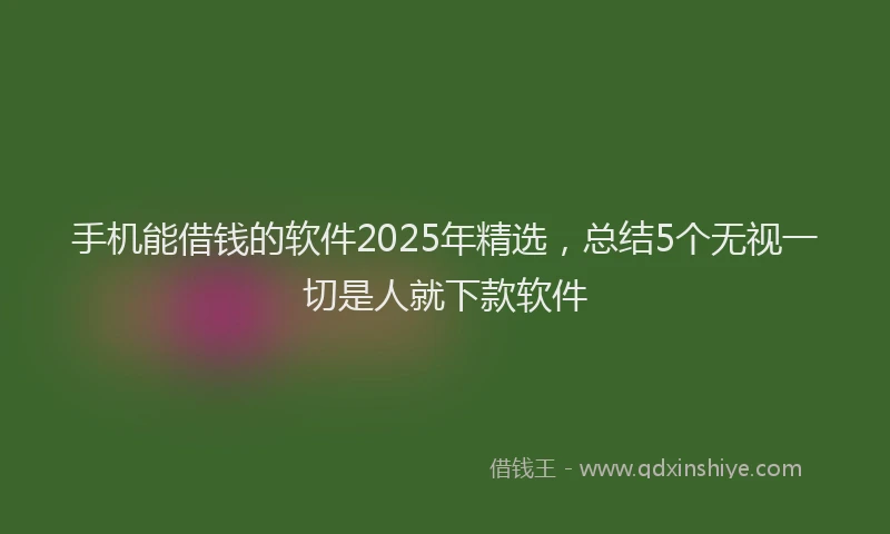 手机能借钱的软件2025年精选，总结5个无视一切是人就下款软件