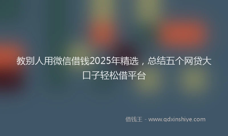 教别人用微信借钱2025年精选，总结五个网贷大口子轻松借平台