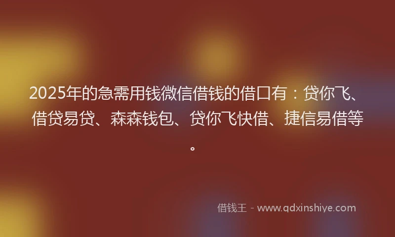 2025年的急需用钱微信借钱的借口有：贷你飞、借贷易贷、森森钱包、贷你飞快借、捷信易借等。