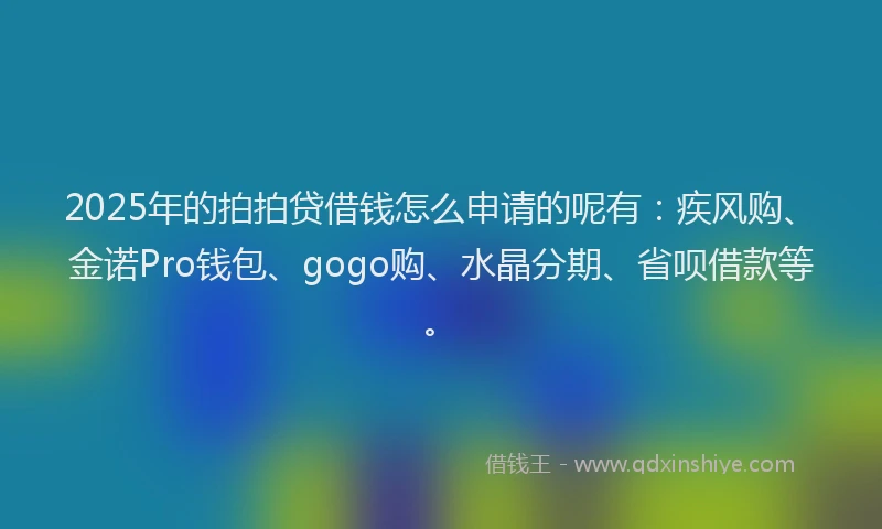 2025年的拍拍贷借钱怎么申请的呢有：疾风购、金诺Pro钱包、gogo购、水晶分期、省呗借款等。