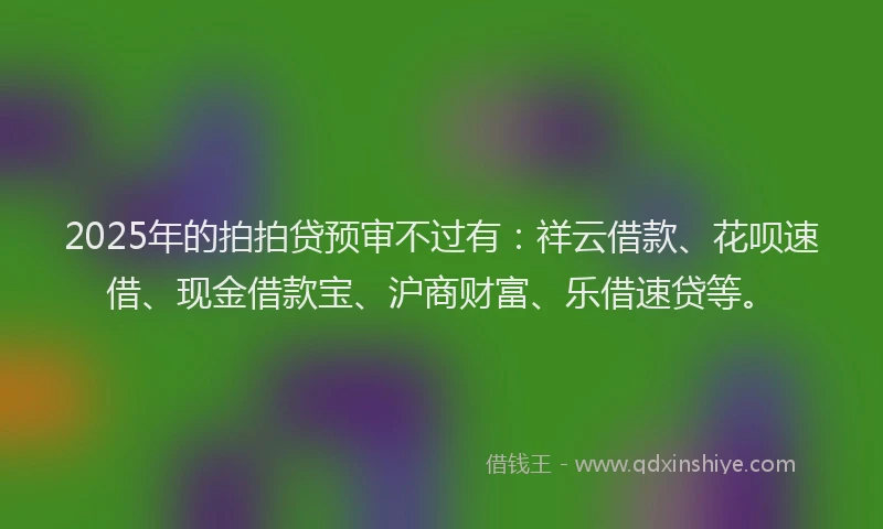 2025年的拍拍贷预审不过有：祥云借款、花呗速借、现金借款宝、沪商财富、乐借速贷等。