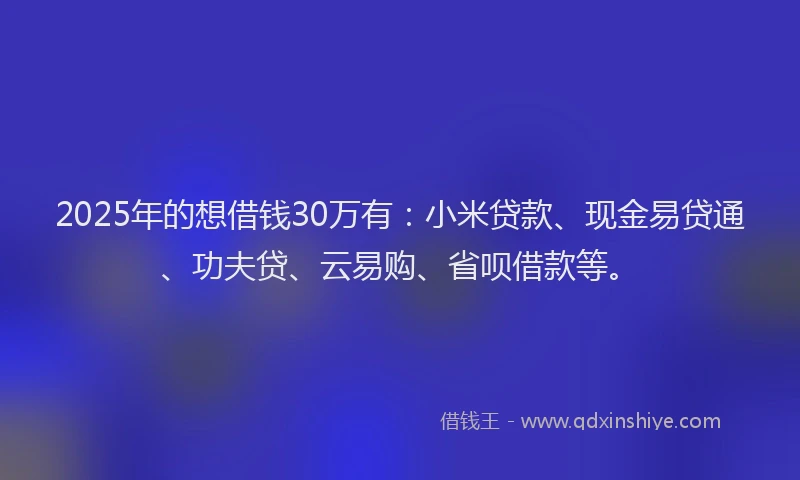 2025年的想借钱30万有：小米贷款、现金易贷通、功夫贷、云易购、省呗借款等。