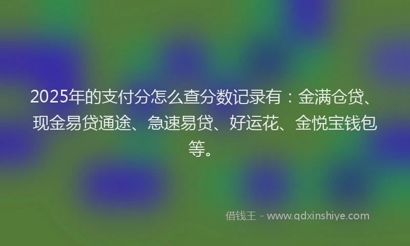 2025年的支付分怎么查分数记录有：金满仓贷、现金易贷通途、急速易贷、好运花、金悦宝钱包等。