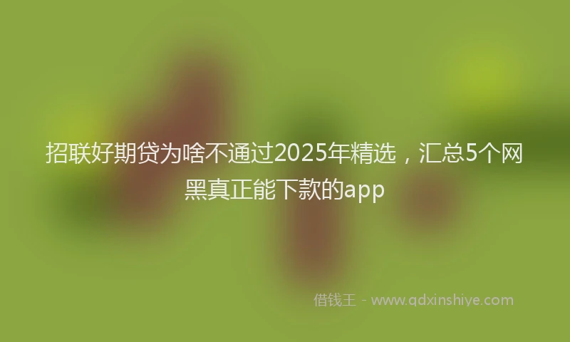 招联好期贷为啥不通过2025年精选，汇总5个网黑真正能下款的app
