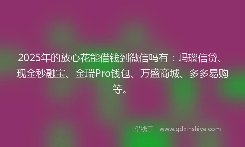 2025年的放心花能借钱到微信吗有：玛瑙信贷、现金秒融宝、金瑞Pro钱包、万盛商城、多多易购等。