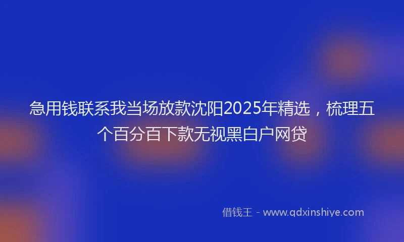 急用钱联系我当场放款沈阳2025年精选，梳理五个百分百下款无视黑白户网贷