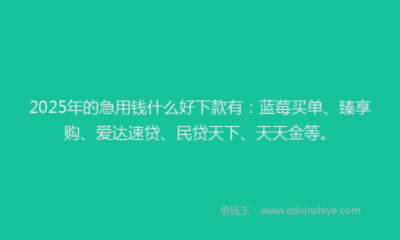 2025年的急用钱什么好下款有：蓝莓买单、臻享购、爱达速贷、民贷天下、天天金等。