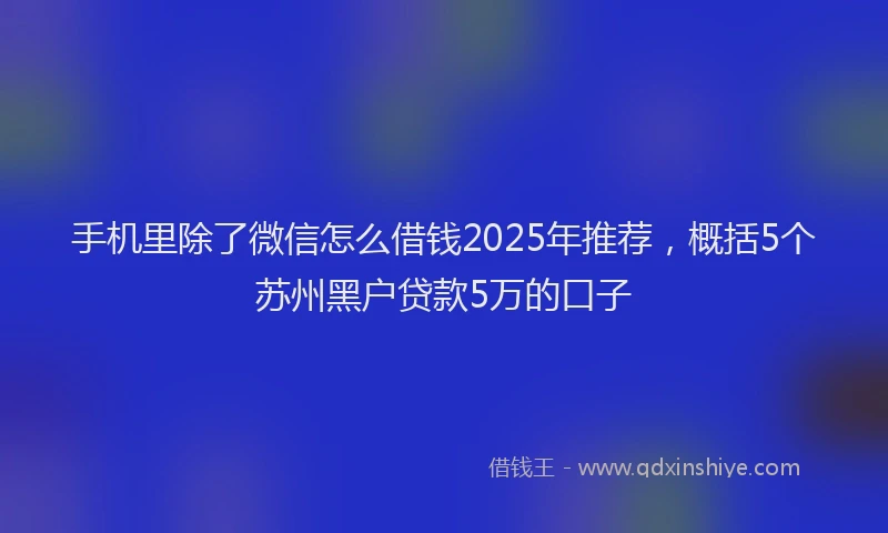 手机里除了微信怎么借钱2025年推荐，概括5个苏州黑户贷款5万的口子