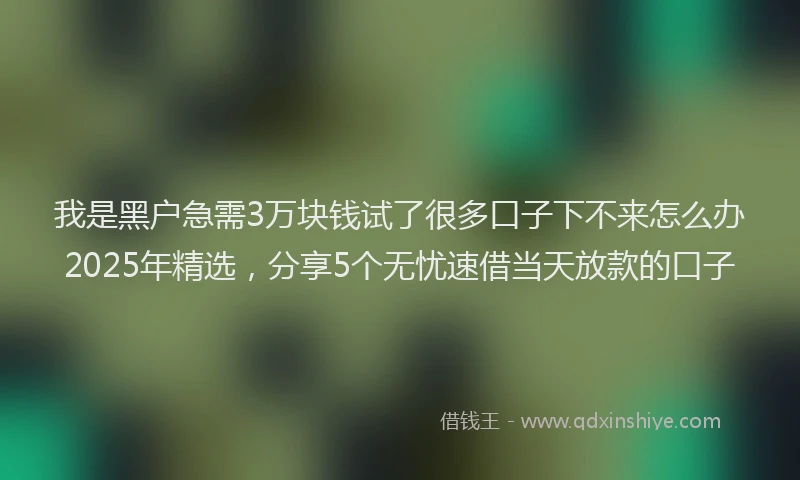 我是黑户急需3万块钱试了很多口子下不来怎么办2025年精选，分享5个无忧速借当天放款的口子