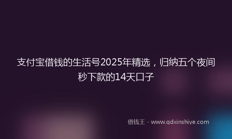 支付宝借钱的生活号2025年精选，归纳五个夜间秒下款的14天口子