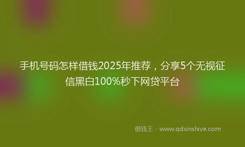 手机号码怎样借钱2025年推荐，分享5个无视征信黑白100%秒下网贷平台