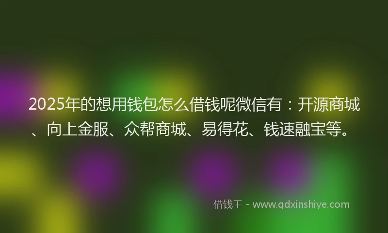 2025年的想用钱包怎么借钱呢微信有：开源商城、向上金服、众帮商城、易得花、钱速融宝等。