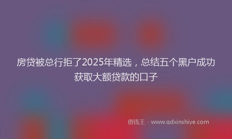房贷被总行拒了2025年精选，总结五个黑户成功获取大额贷款的口子