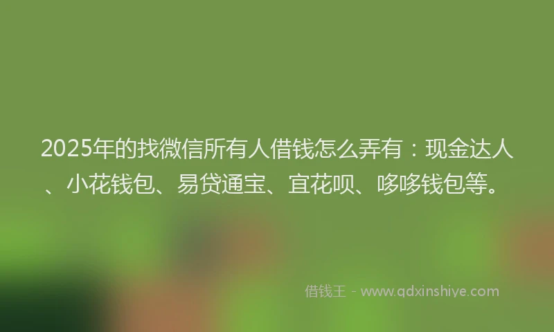 2025年的找微信所有人借钱怎么弄有：现金达人、小花钱包、易贷通宝、宜花呗、哆哆钱包等。