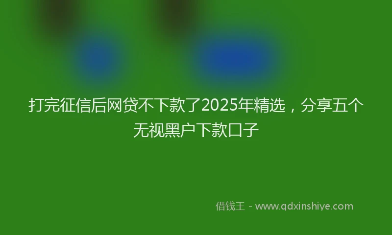 打完征信后网贷不下款了2025年精选，分享五个无视黑户下款口子