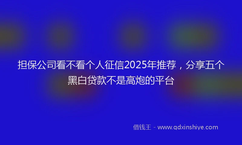 担保公司看不看个人征信2025年推荐，分享五个黑白贷款不是高炮的平台