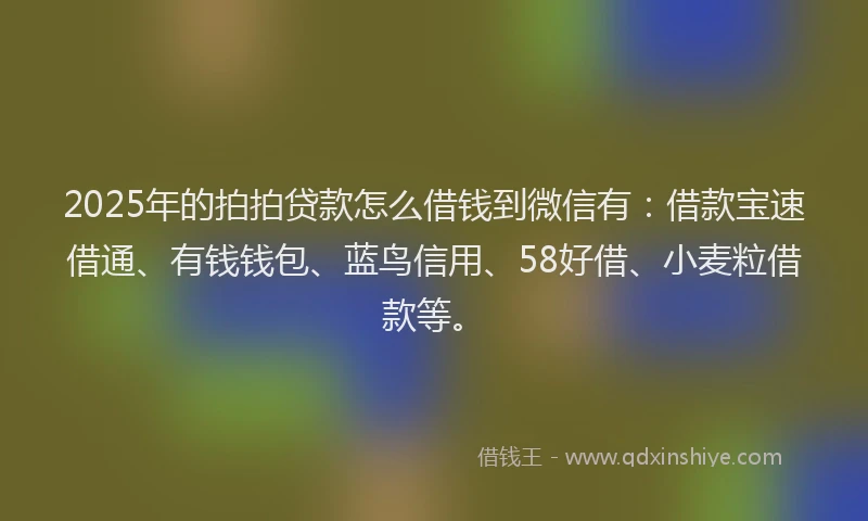 2025年的拍拍贷款怎么借钱到微信有：借款宝速借通、有钱钱包、蓝鸟信用、58好借、小麦粒借款等。
