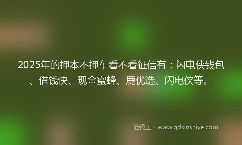 2025年的押本不押车看不看征信有：闪电侠钱包、借钱快、现金蜜蜂、鹿优选、闪电侠等。