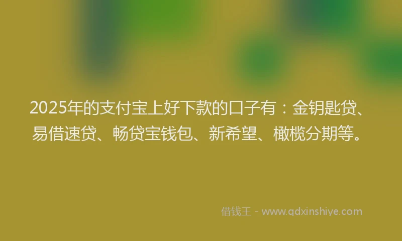 2025年的支付宝上好下款的口子有：金钥匙贷、易借速贷、畅贷宝钱包、新希望、橄榄分期等。