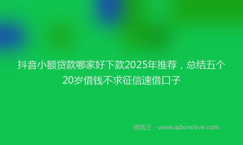 抖音小额贷款哪家好下款2025年推荐，总结五个20岁借钱不求征信速借口子
