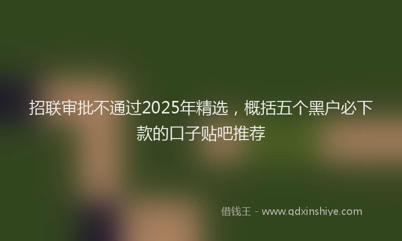 招联审批不通过2025年精选，概括五个黑户必下款的口子贴吧推荐