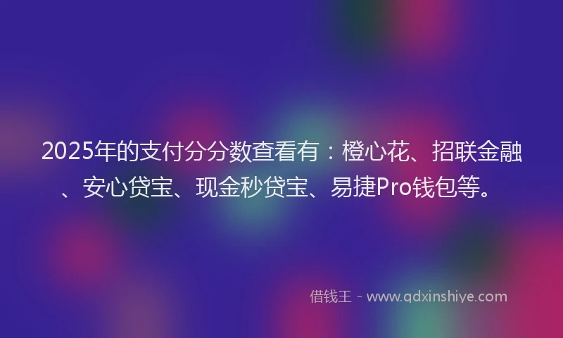 2025年的支付分分数查看有：橙心花、招联金融、安心贷宝、现金秒贷宝、易捷Pro钱包等。