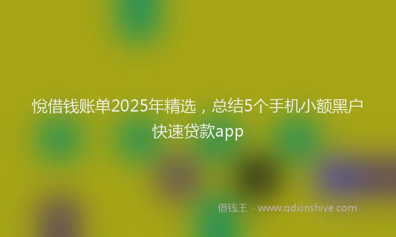 悅借钱账单2025年精选，总结5个手机小额黑户快速贷款app