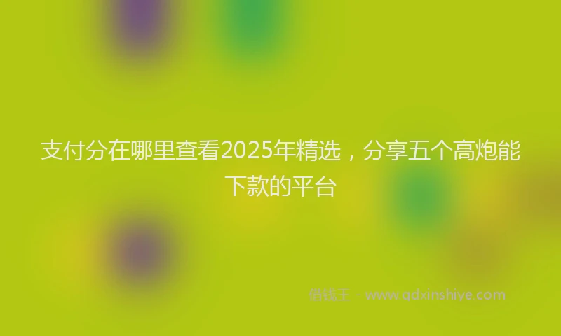 支付分在哪里查看2025年精选，分享五个高炮能下款的平台