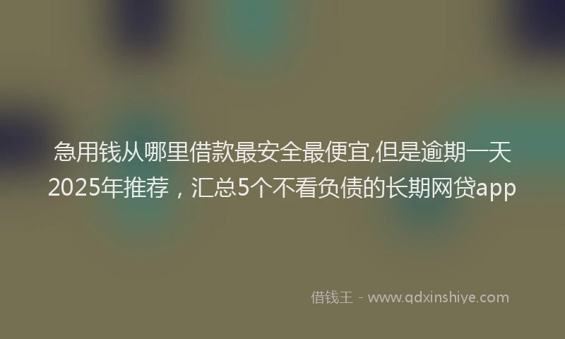 急用钱从哪里借款最安全最便宜,但是逾期一天2025年推荐，汇总5个不看负债的长期网贷app