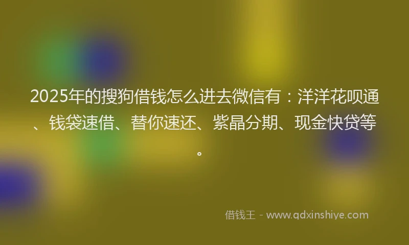 2025年的搜狗借钱怎么进去微信有：洋洋花呗通、钱袋速借、替你速还、紫晶分期、现金快贷等。