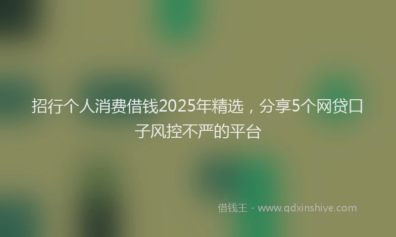 招行个人消费借钱2025年精选，分享5个网贷口子风控不严的平台
