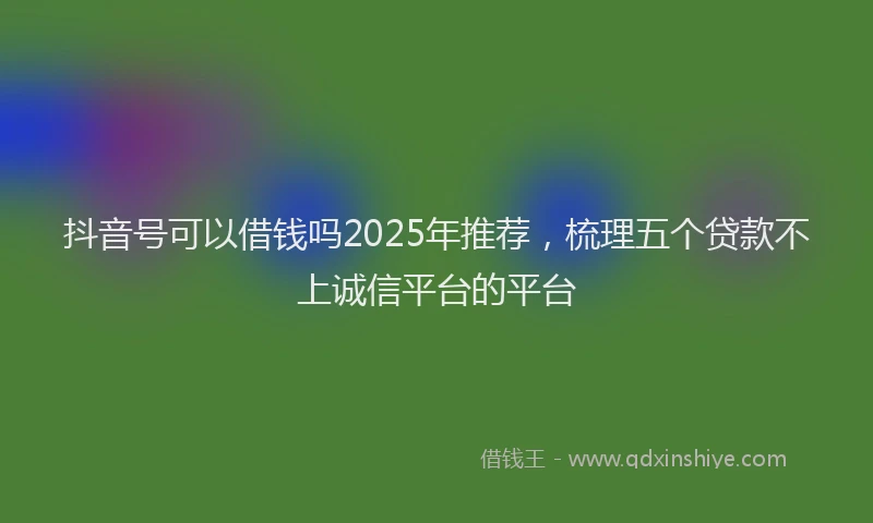 抖音号可以借钱吗2025年推荐，梳理五个贷款不上诚信平台的平台
