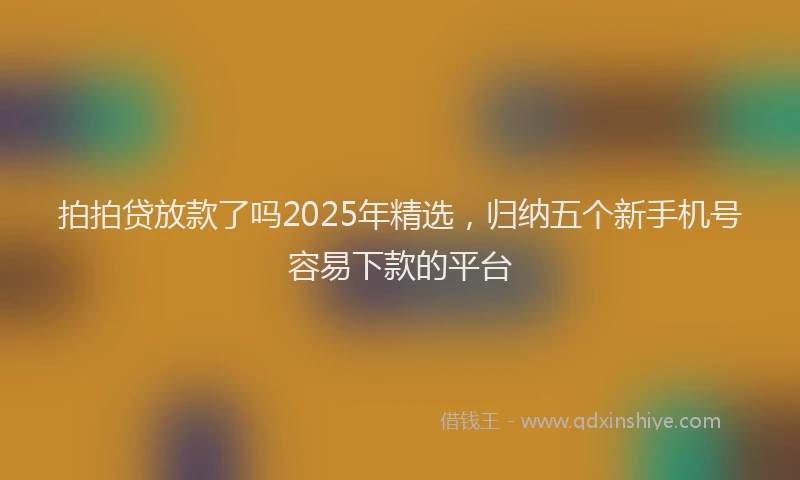 拍拍贷放款了吗2025年精选，归纳五个新手机号容易下款的平台