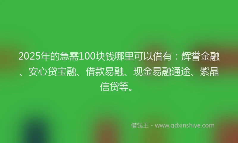 2025年的急需100块钱哪里可以借有：辉誉金融、安心贷宝融、借款易融、现金易融通途、紫晶信贷等。