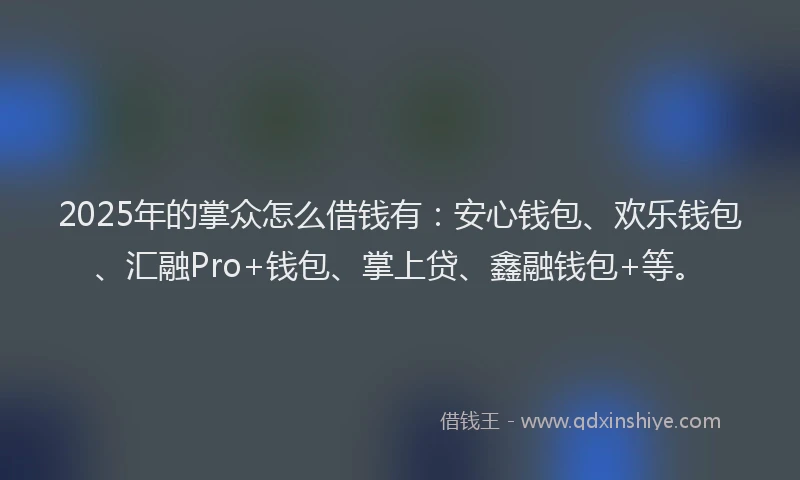2025年的掌众怎么借钱有：安心钱包、欢乐钱包、汇融Pro+钱包、掌上贷、鑫融钱包+等。