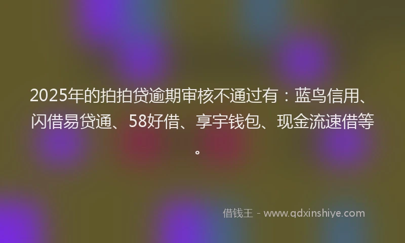 2025年的拍拍贷逾期审核不通过有：蓝鸟信用、闪借易贷通、58好借、享宇钱包、现金流速借等。
